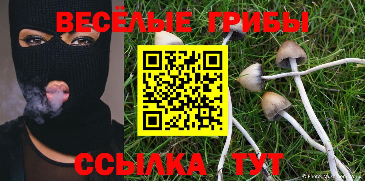 Галлюциногенные грибы мухоморы  Вход с VPN  Шали 